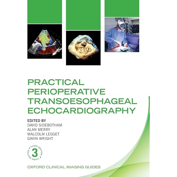 Practical Perioperative Transoesophageal Echocardiography (Oxford